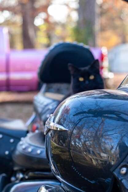 Comparative Analysis of Honda Touring Bikes: Comfort and Performance